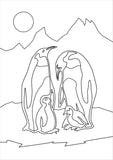König-Pinguine