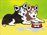 Husky puppies / dogs
