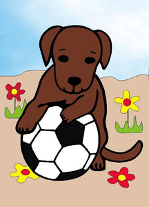 Welpe mit Fußball / Hund